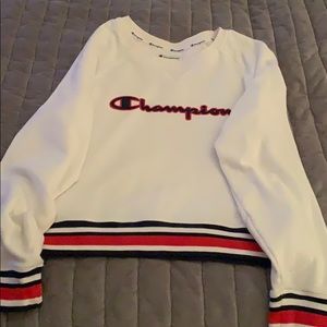 Champion sweater